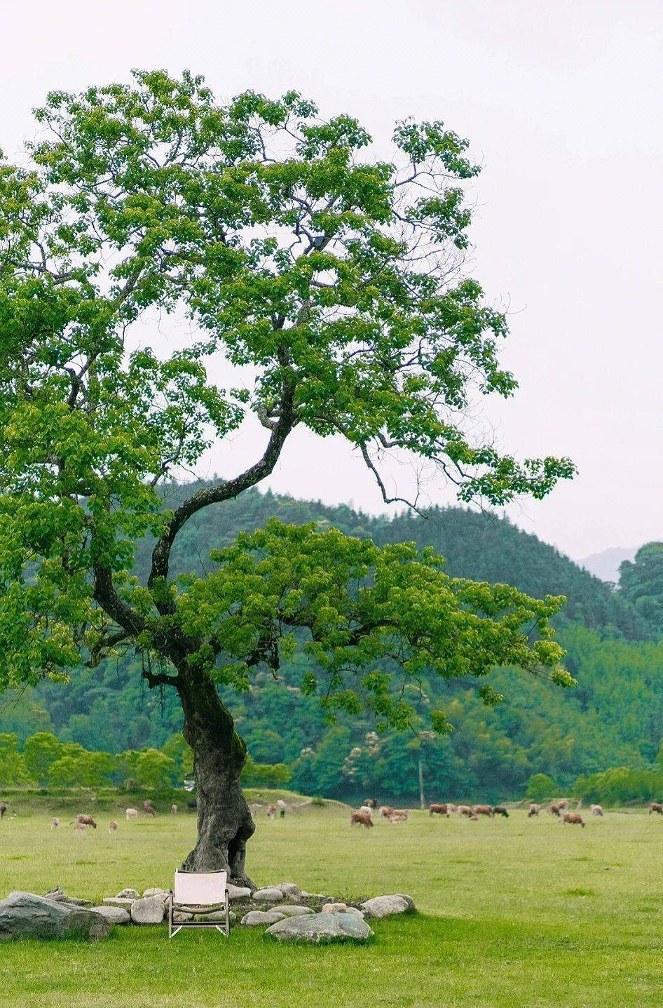 在广西山水间玩皮划艇登上热搜