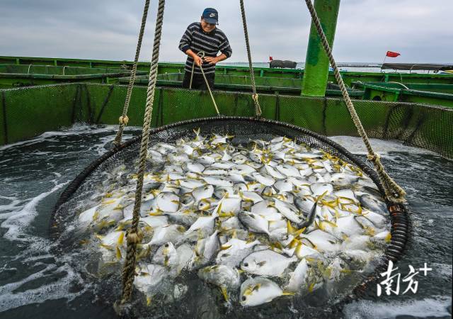 湛江：加快打造现代化沿海经济带重要开展极