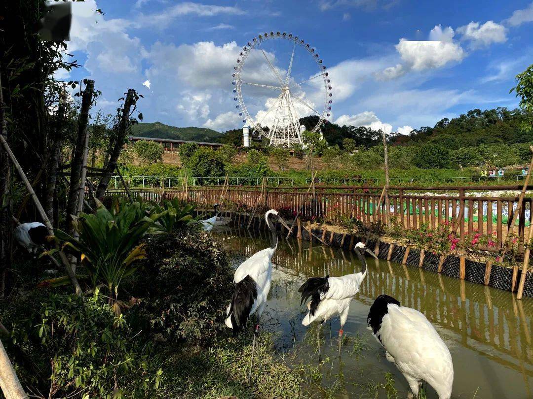 【4月30日發團】潮汕望天湖野生動物園(入住景區度假酒店) 粵東第一瀑