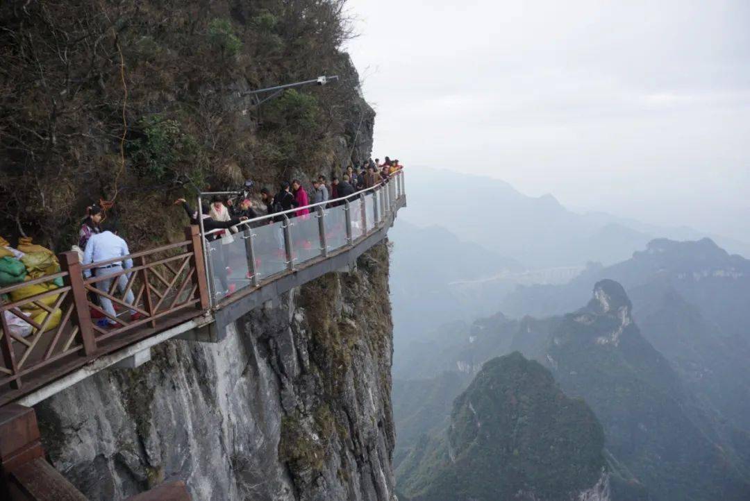 张家界三男一女集体跳崖,身份曝光后令人唏嘘:谁活着,不是一场炼狱?