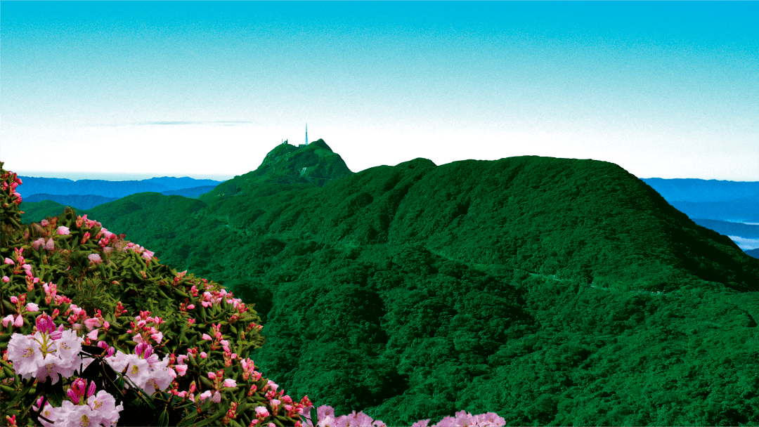 【开局起步dou精彩】2023猫儿山高山杜鹃花文化旅游节即将来袭!