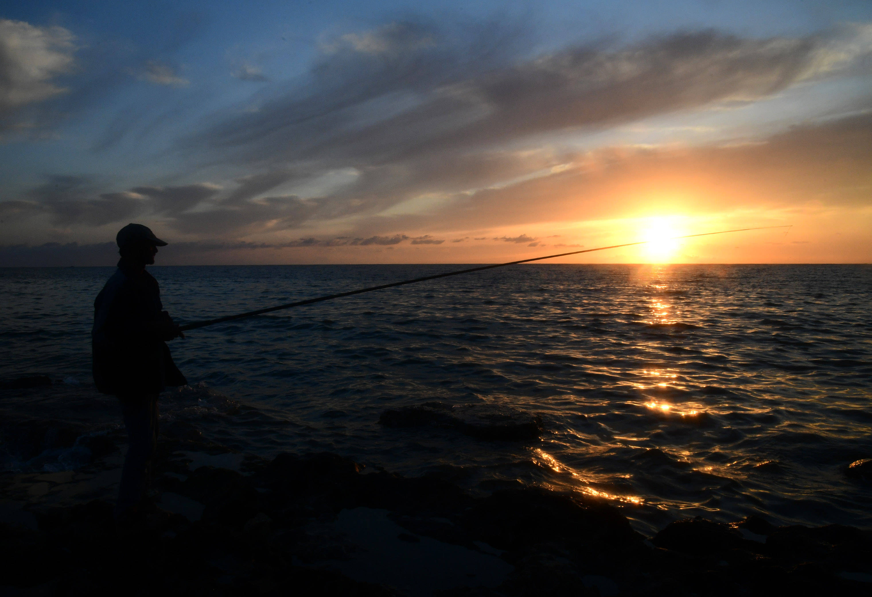 国际观察| 中东多国走向和解和平发展共识扩大_搜狐网