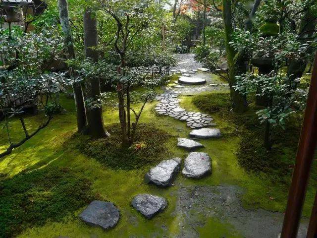 园艺 | 苔藓|微景观 | 传统文化| 庭院情怀| 视觉新浪微博id:行行之沙