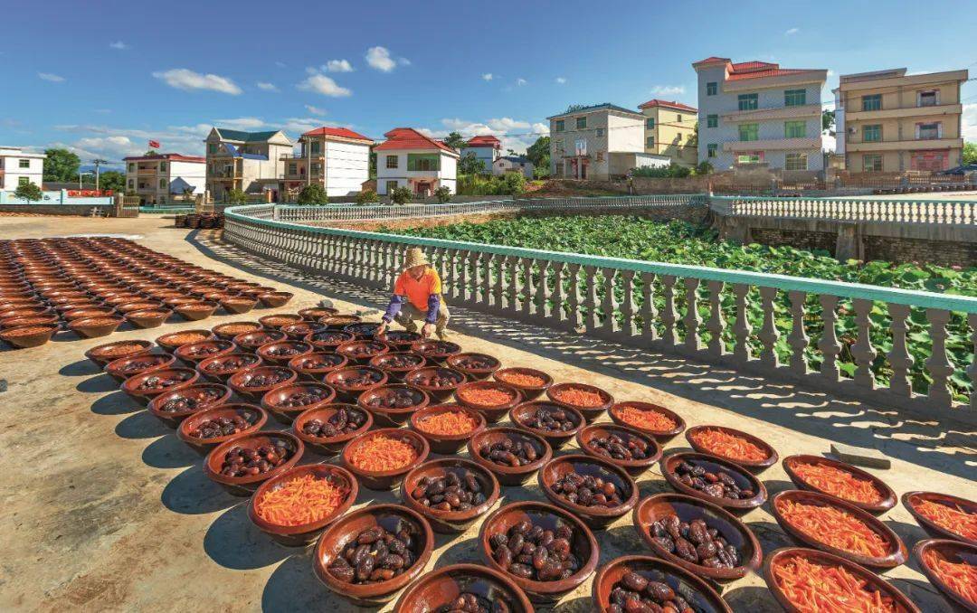 江西省吉安市永新县澧田镇枧田村村民正在晾晒酱制品.