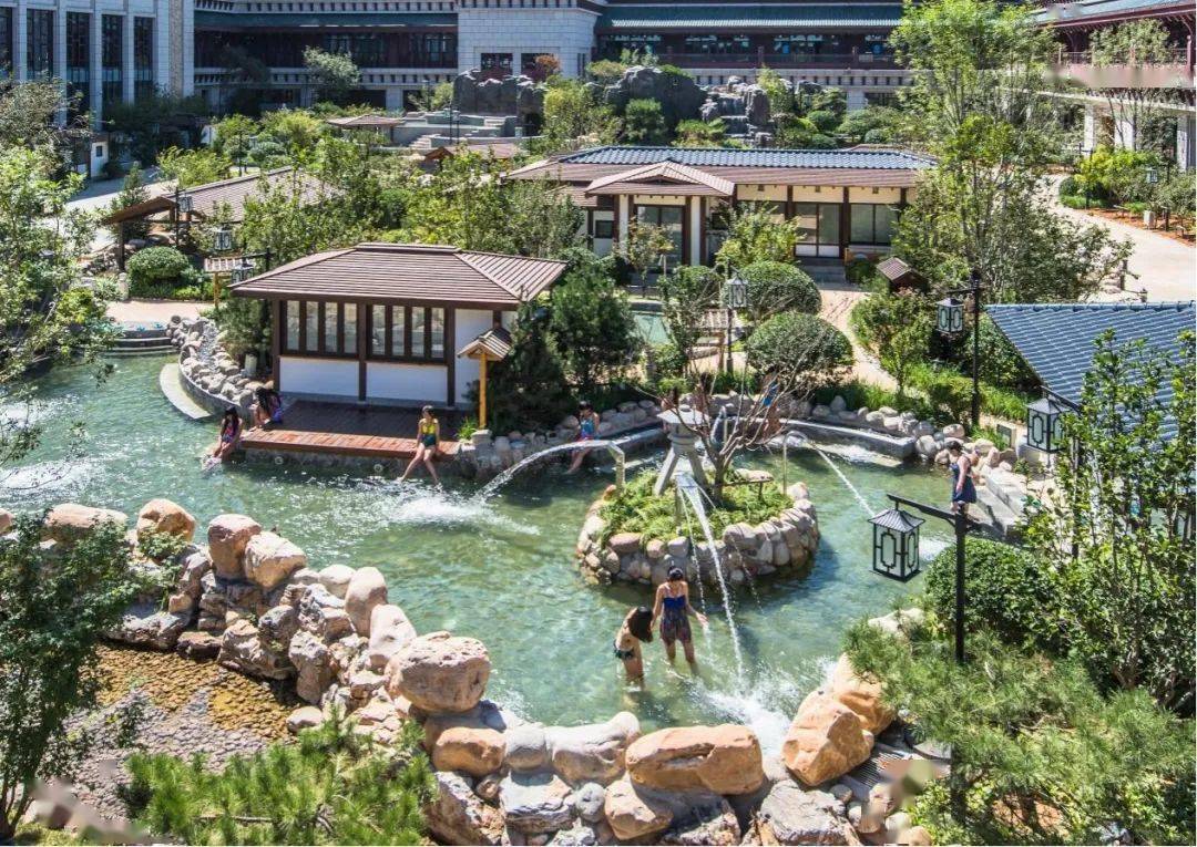 缤纷春日,东丽湖适配美好假期_活动_温泉_游客
