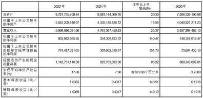 江苏苏盐井神股份有限公司2022年度陈述摘要