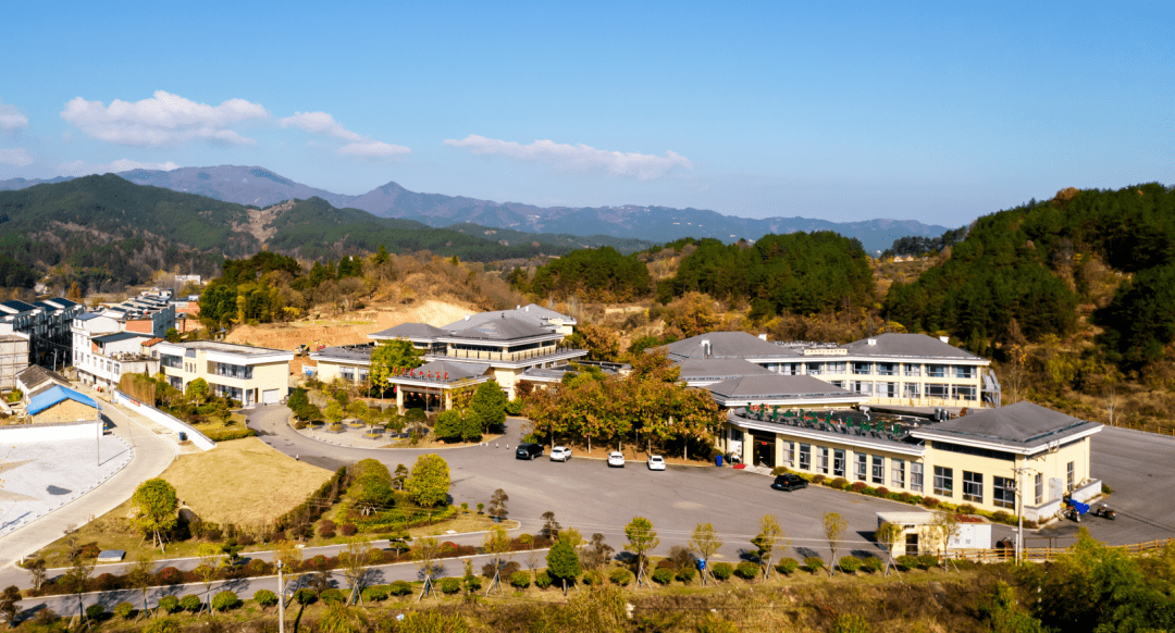 最新摄影大赛获奖作品新鲜出炉!_王峰_秦俊梅_映山红