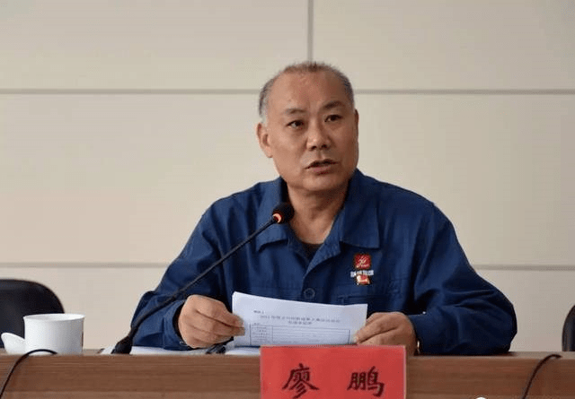 廖鹏任公司总经理_股份_先生_来源