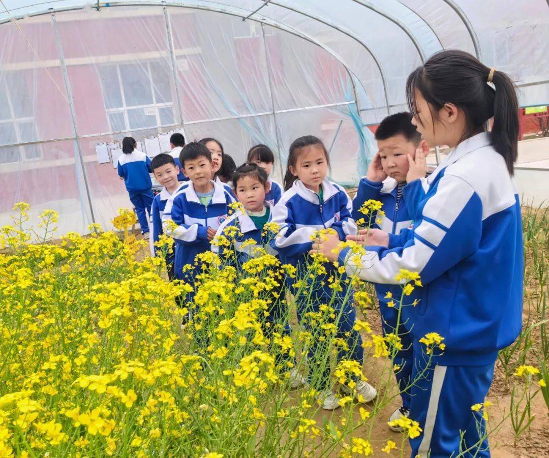河西镇中心小学开展"春田花花游园会"主题研学活动_植物_种植_劳动