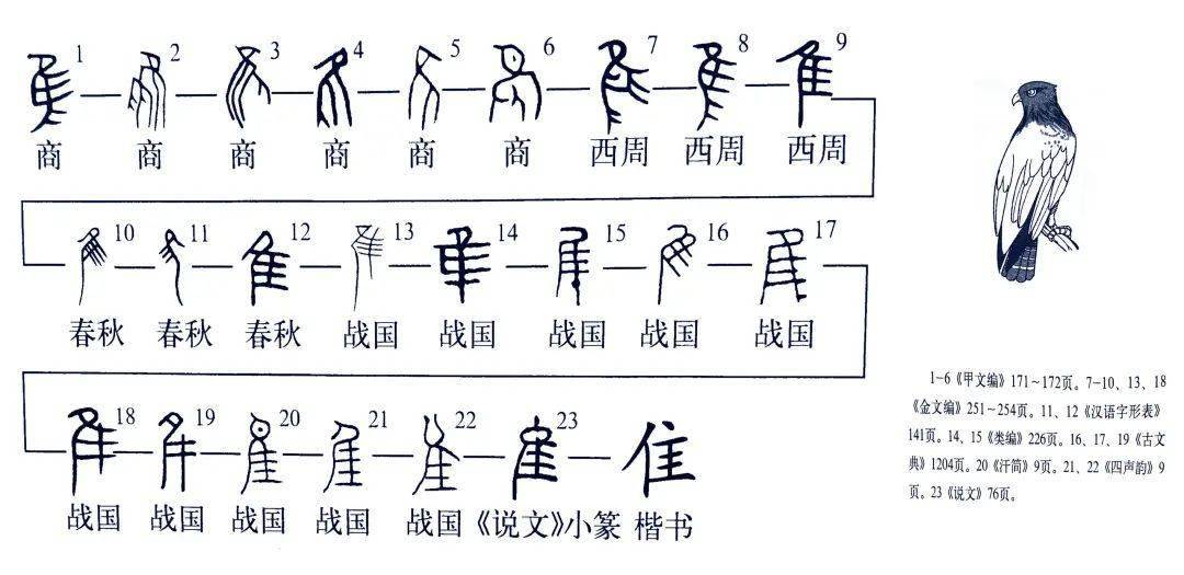 《说文解字》第700课 总说典雅