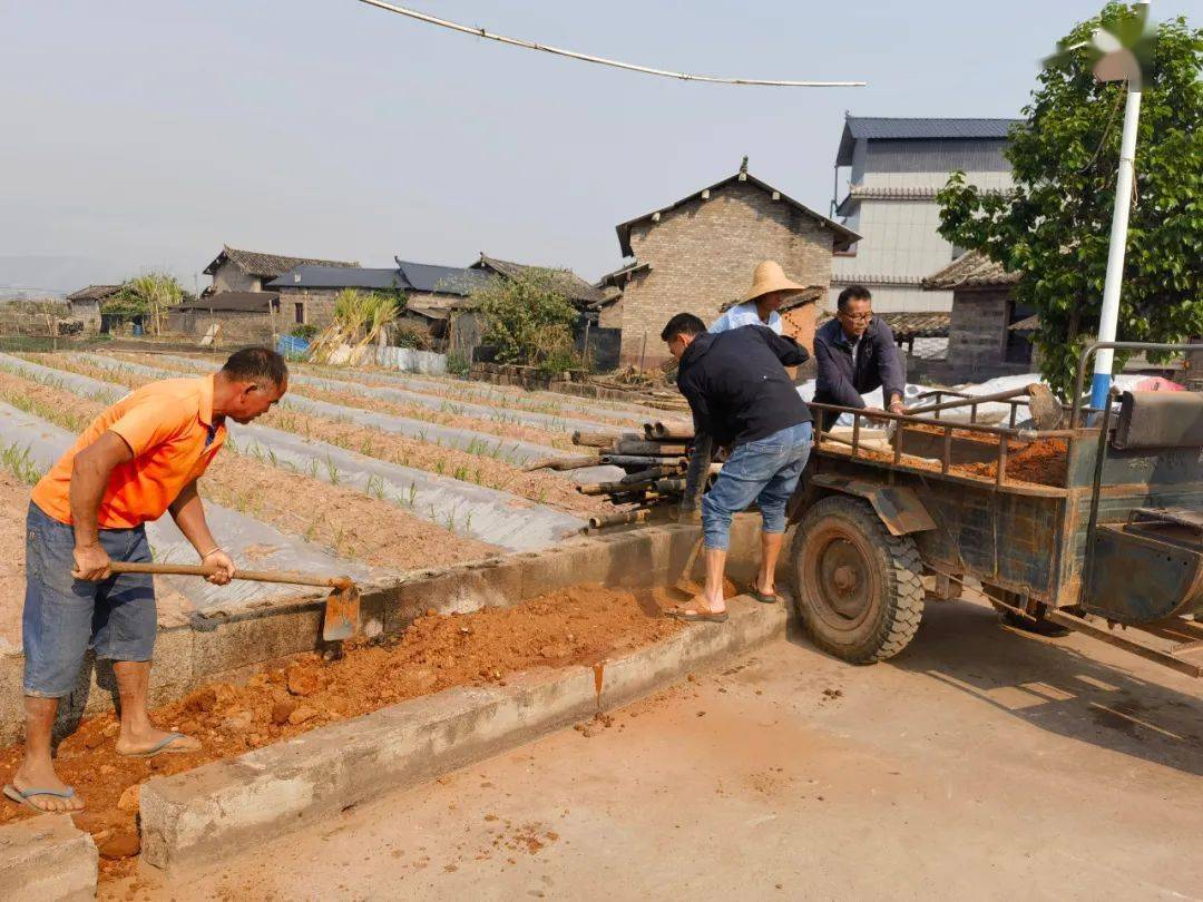 【绿美景谷】勐班乡:党群合声发力 共建绿美村庄_群众_村民_行动