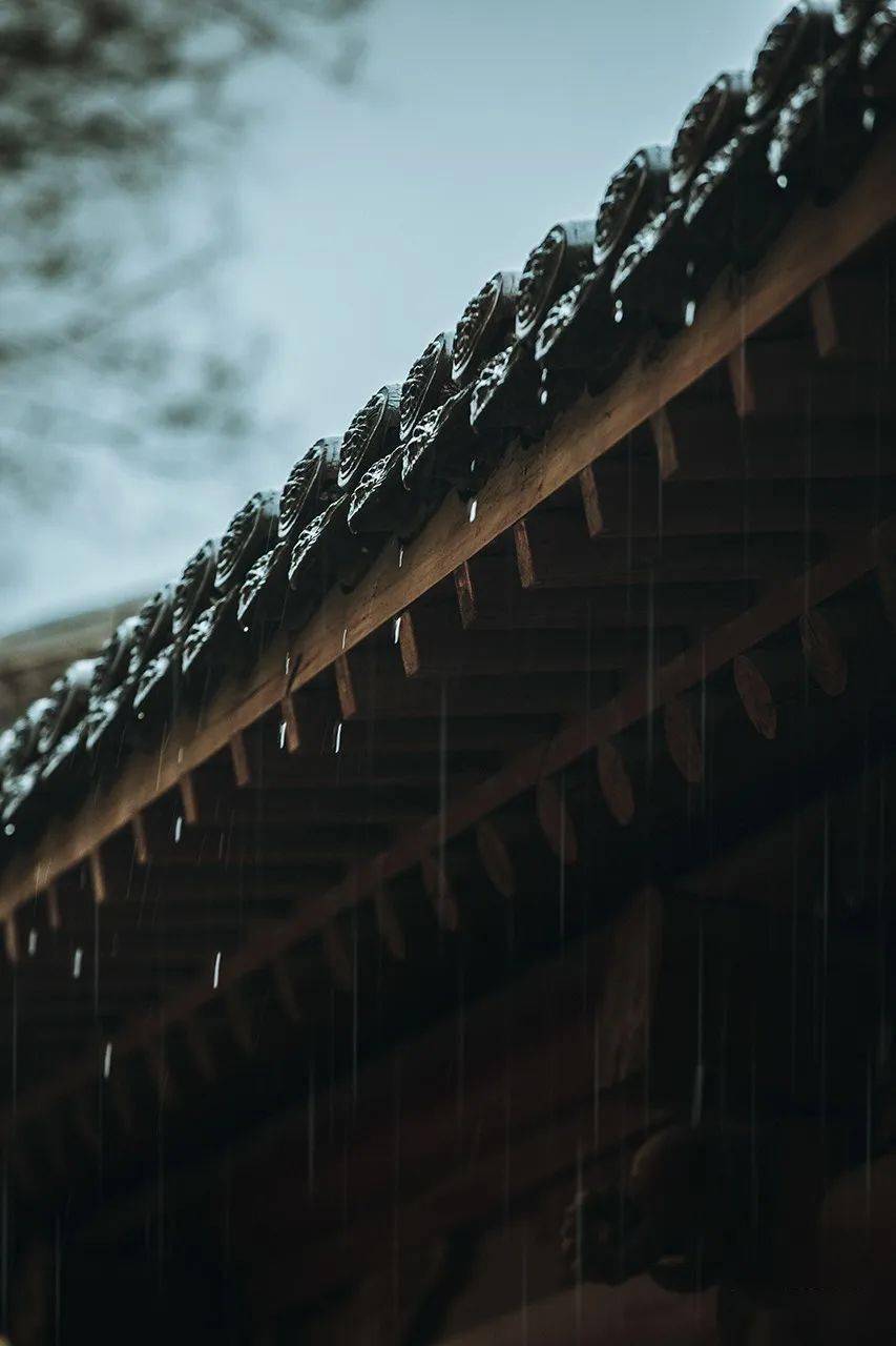 榆见时光煮春雨,岁月缝茶书,四月念一场驼城相逢~_算盘_川上_老街