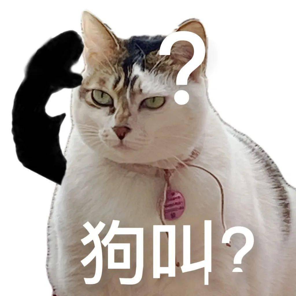 沙雕可爱表情包:你再说一遍?_手机_熊猫头_公众