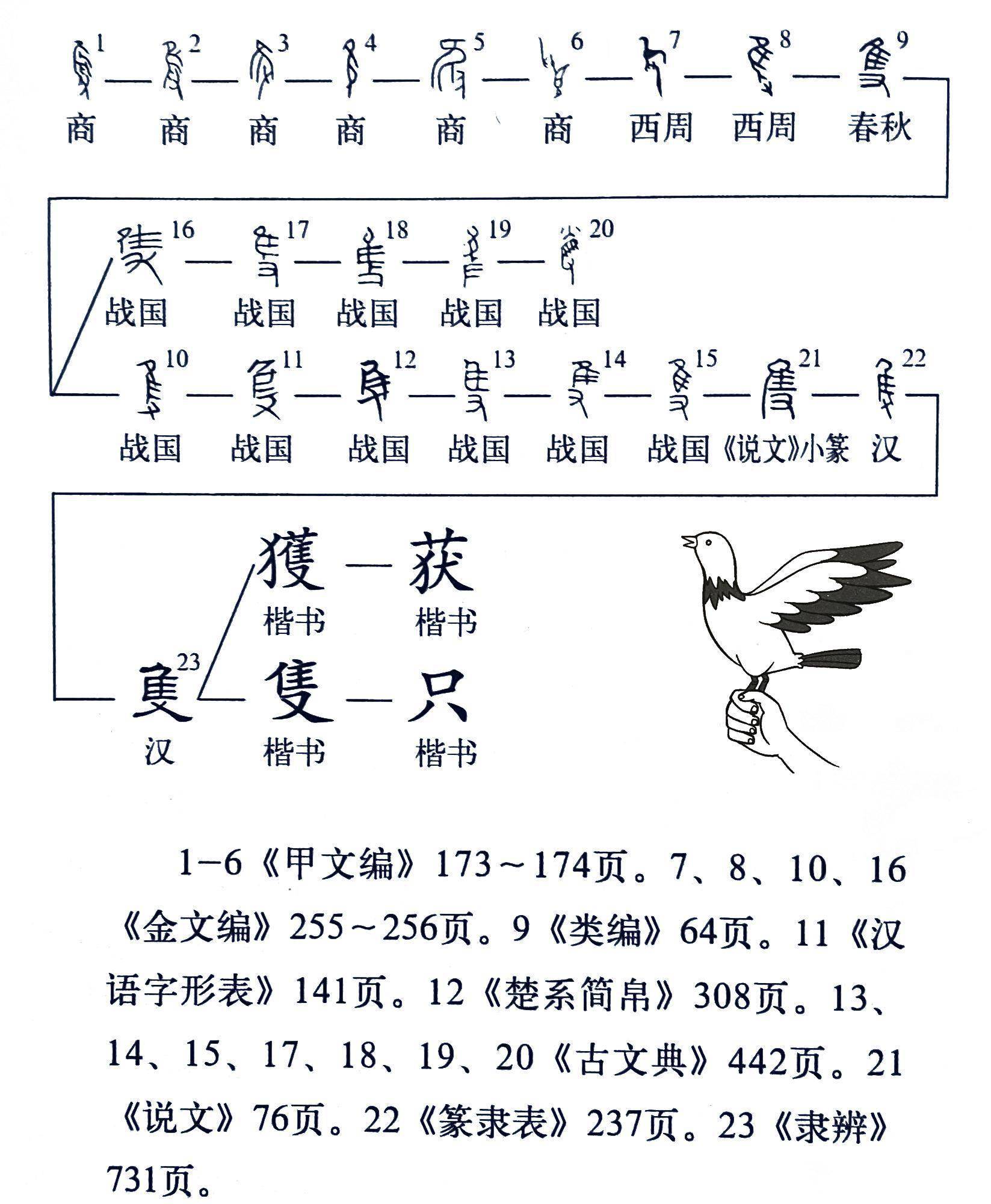 《说文解字》第701课 一只的只