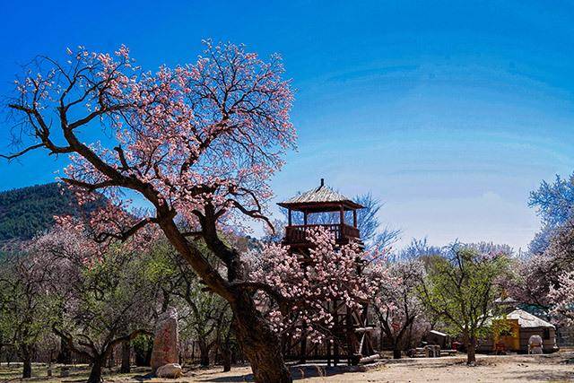 太疯狂了（内蒙古乌海非遗名录）乌海市旅游十大景区 第3张