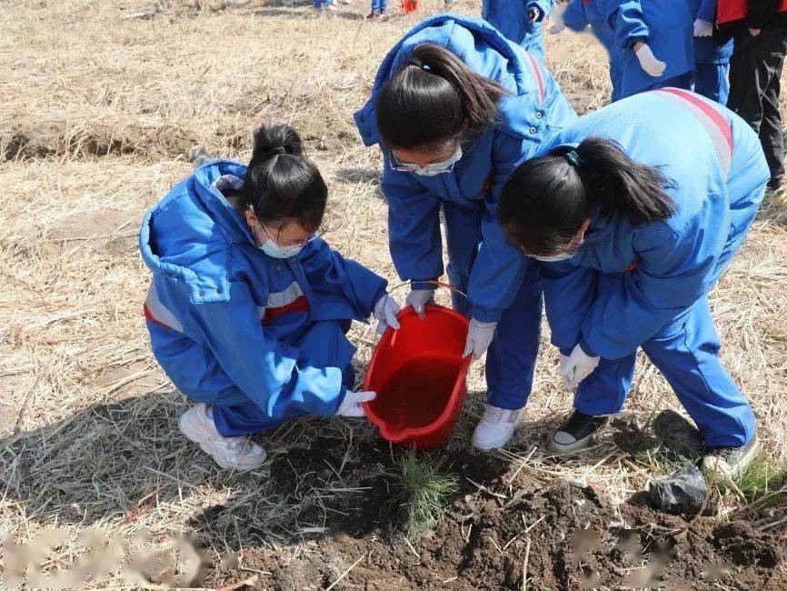 我与小树共成长 | 佳木斯市少先队林场建成啦~_活动_少先队员_文明