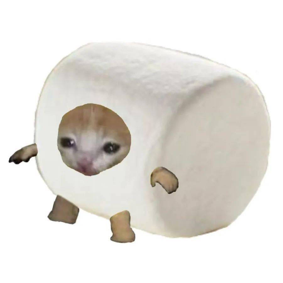 香蕉你个芭乐丨第674期猫咪表情包_猫猫
