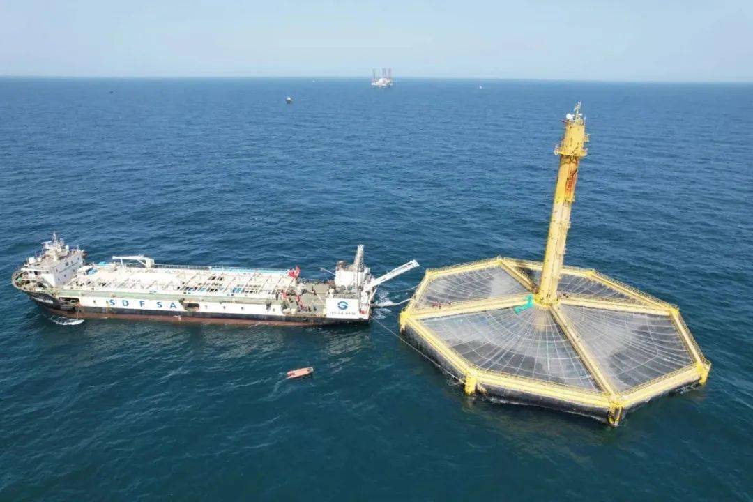 养殖_大西洋_深蓝