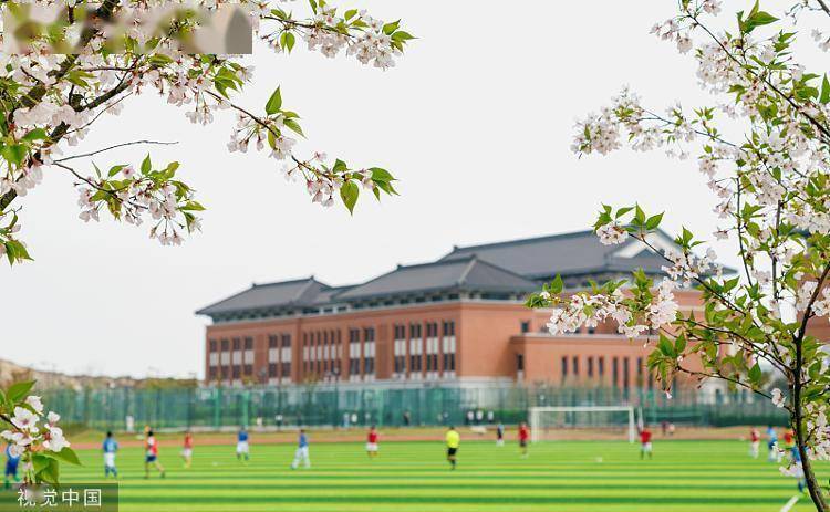 大学生互换身份上课、住宿、深度游？限时“交换人生”须谨慎
