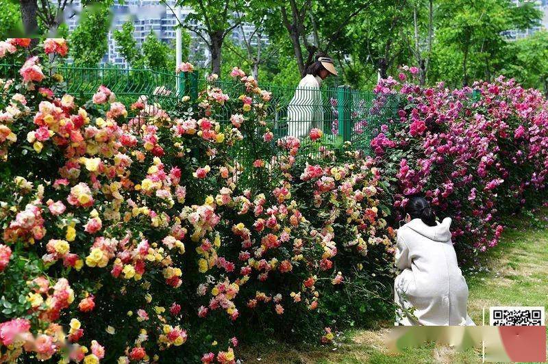 “五一”天气发布！这几天都下雨-这几天要下雨吗?