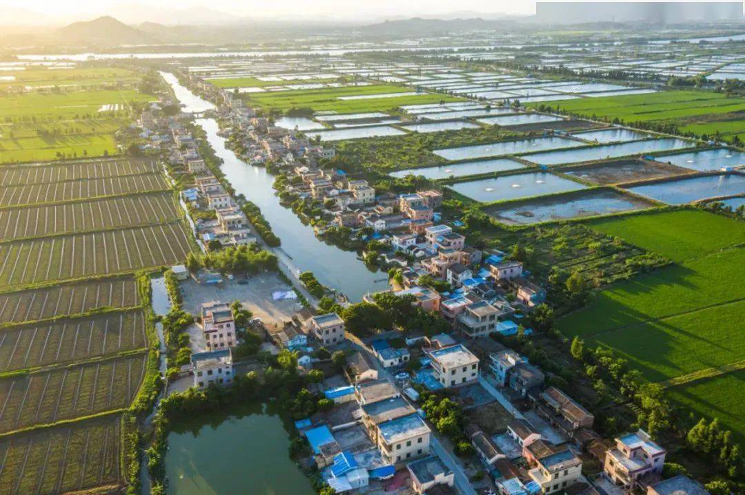 白蕉镇这条村登上全国平台!放假来探一探吧!_实践_文明村_南澳