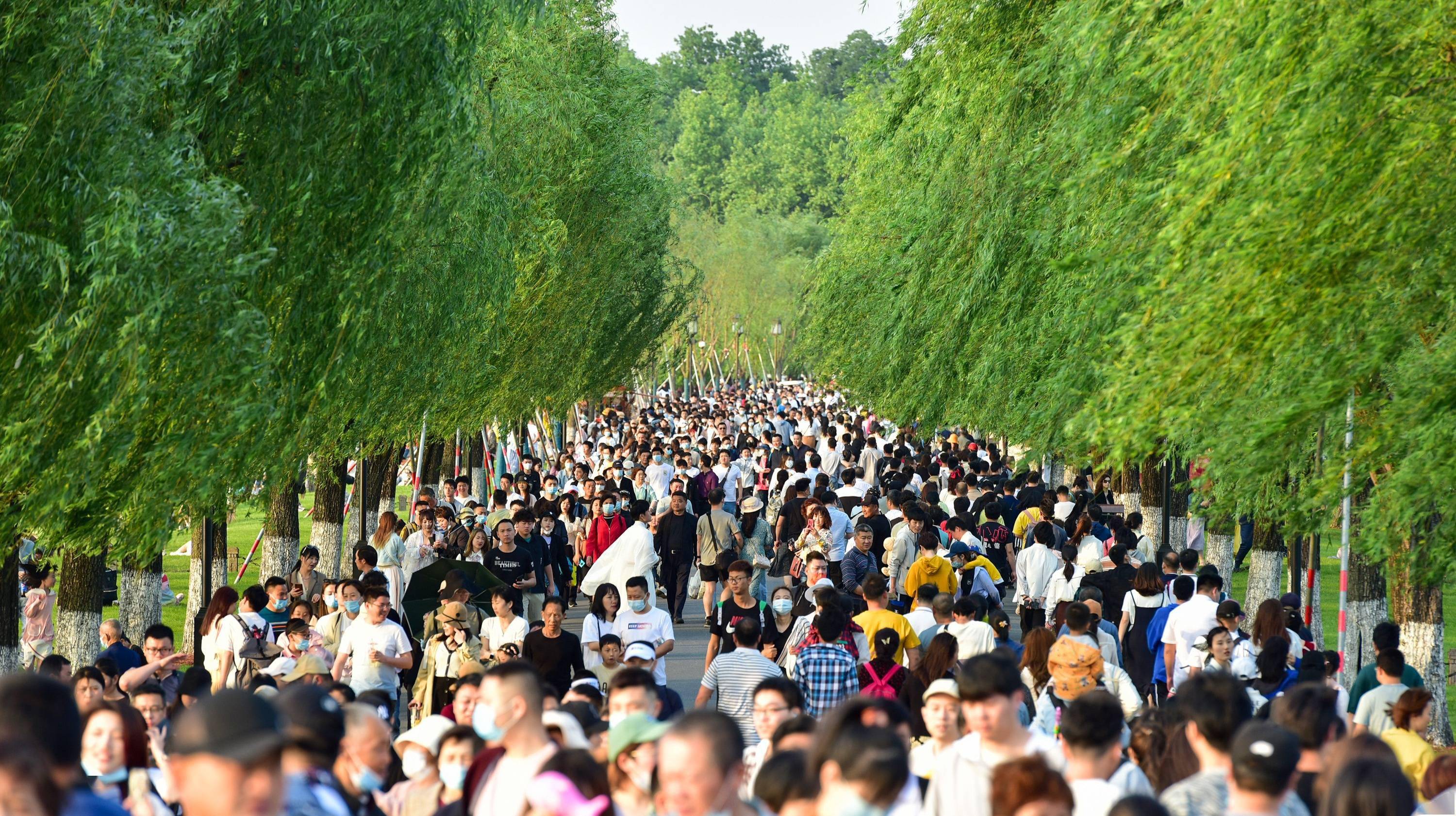 年轻人开始尝试这种旅游方式_城市_调研_计划