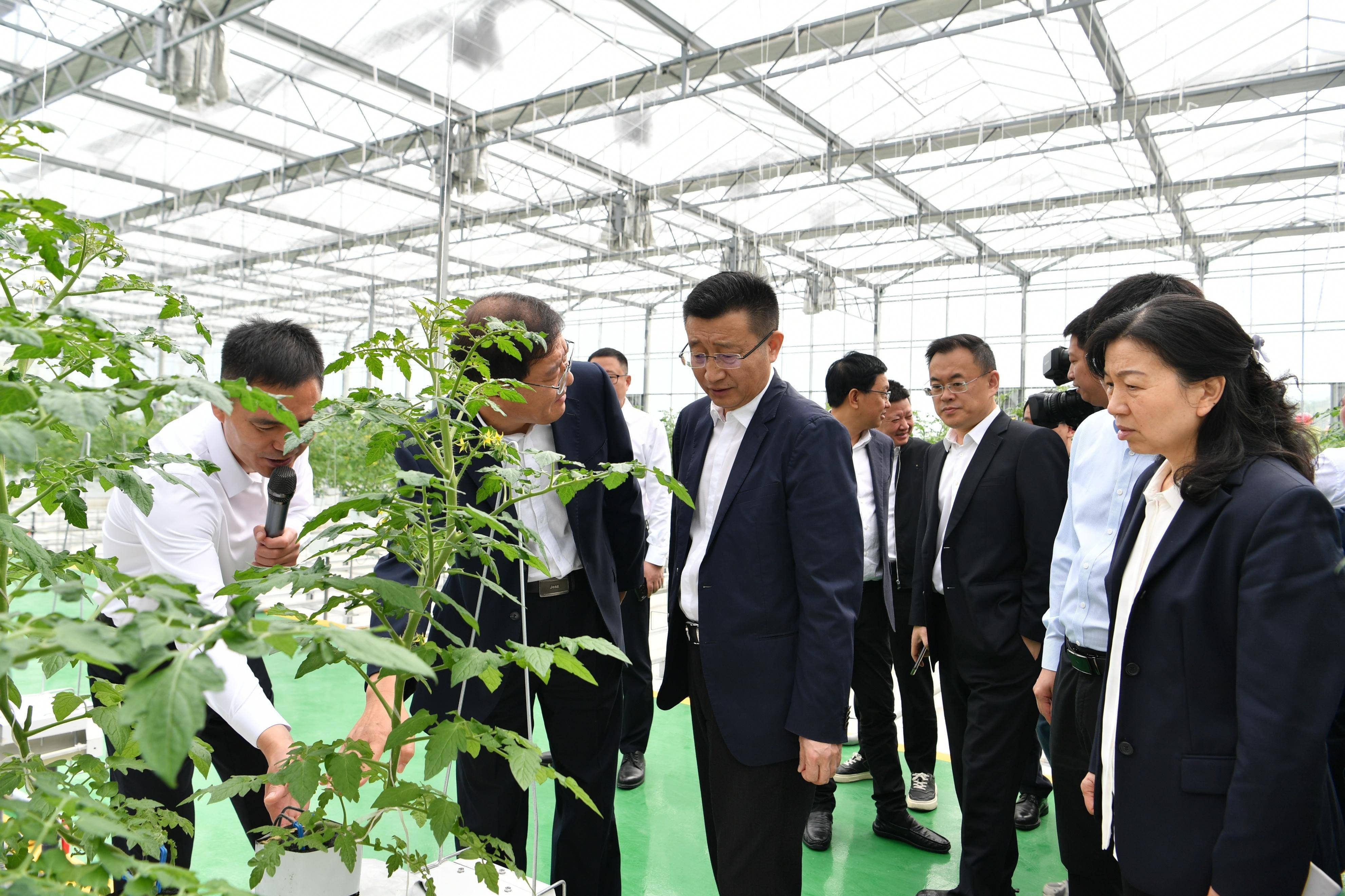 开州区举行一季度重大项目"三集中"活动 五十九个项目集中落地