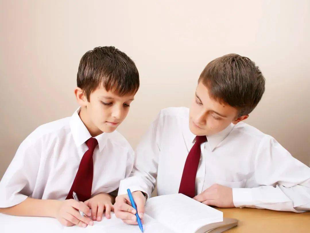 学校采用双语教育制度(丹麦语和英语),学生来自全球50多个国家,学生