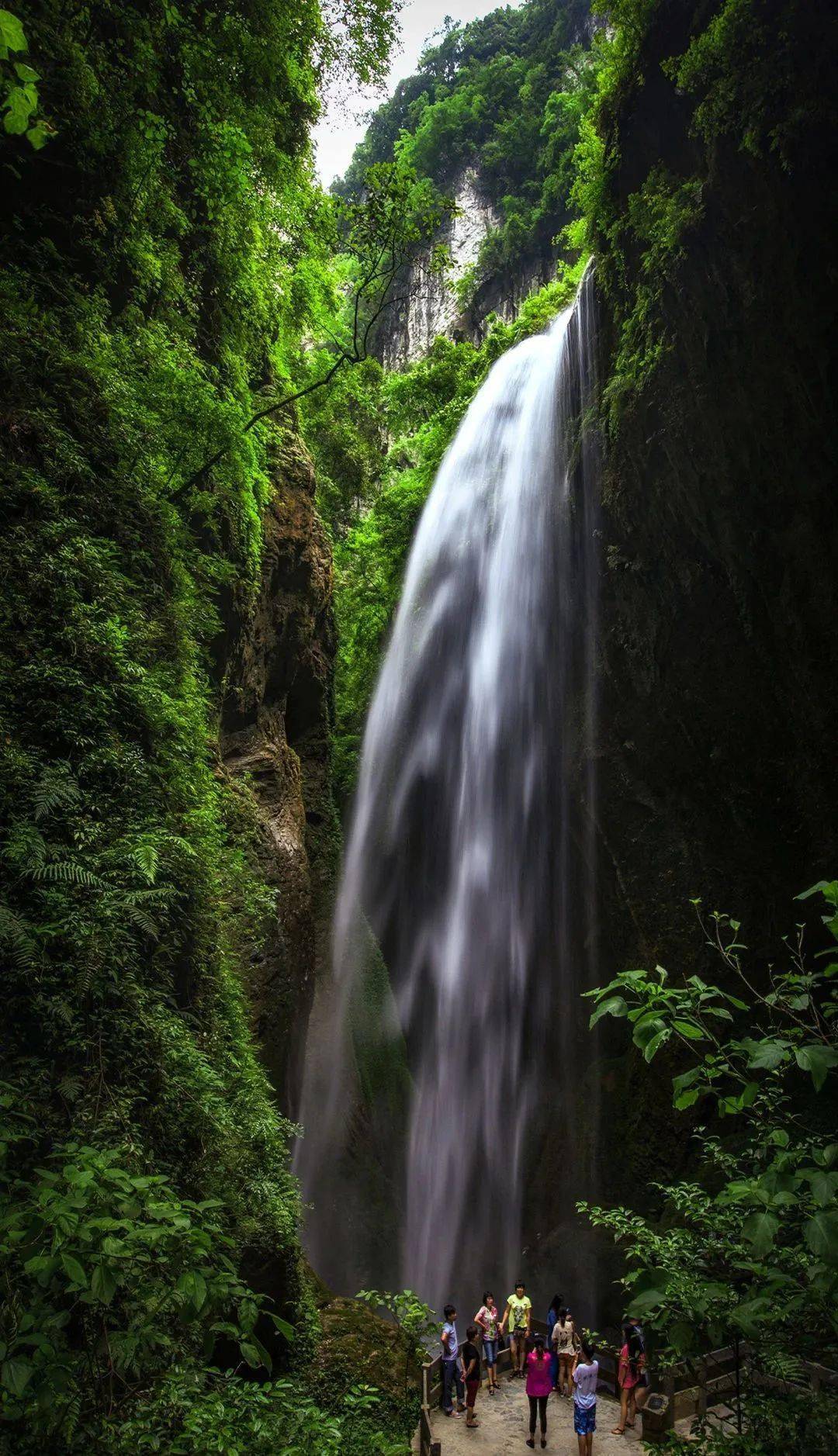 餐后乘车游览天生三桥,龙水峡地缝景区,当晚可选择观看《印象武隆》