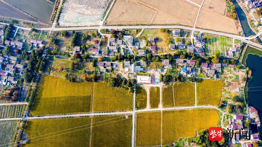 书写"新江村" 打卡"最江南"⑤|苏州吴江平望庙头村:"五源"联动基地