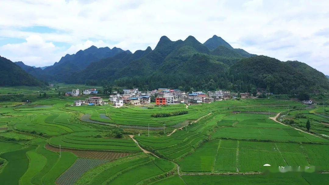 菊黄,桑麻绿春风化雨,雨落田园麻江县乌卡坪蓝梦谷景区一角修宽了那条