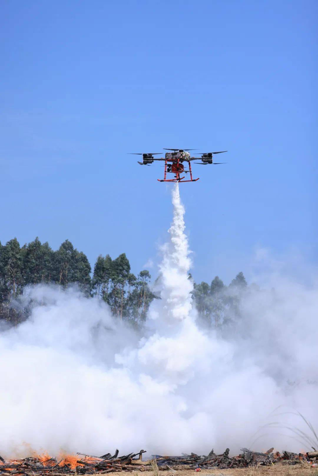 成员单位分管领导,海南热带雨林国家公园黎母山分局,霸王岭分局负责人