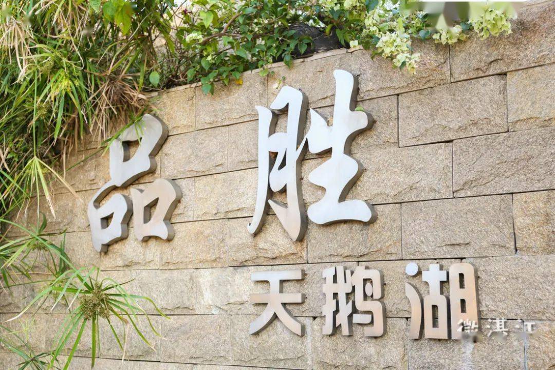 湛江占地180 亩的『宝藏庄园』,一站式娱乐打卡!_天鹅湖_绵羊_火车