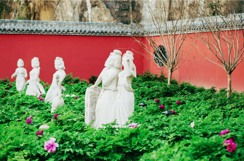 【利州】拍了拍你,欢迎解锁"五一"3条精品线路_罗家_香菇_旅游