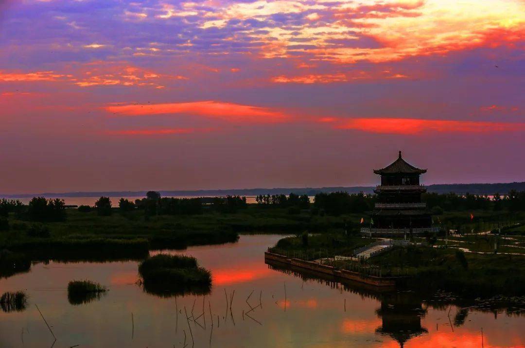 【下篇】来菏泽赏芍药吃烧烤看演出!线路安排上了!_风景区_曹州_水浒