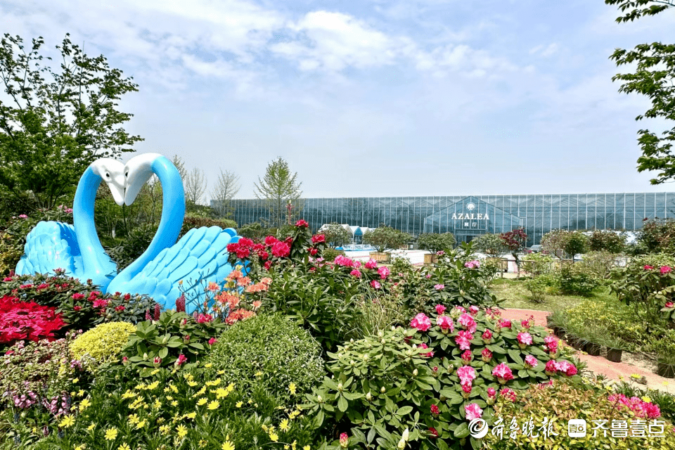 中国杜鹃花博览园电话图片