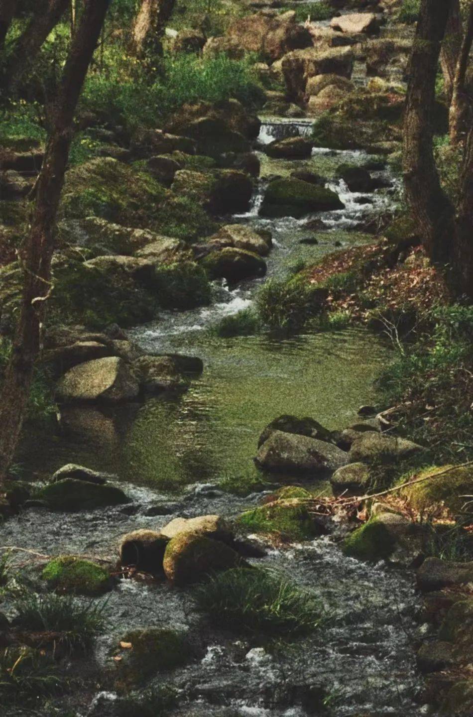 义乌市华溪森林公园任雨落风惊也终难掩静水流深安静直接本真质朴与