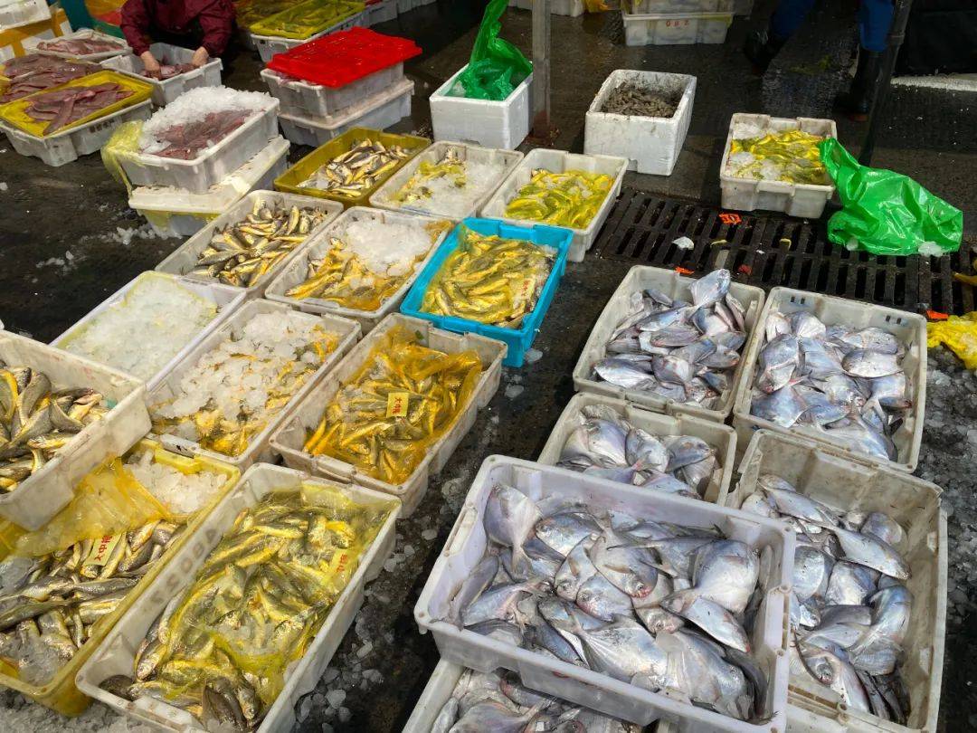 杭州人注意!今天开始,这些口福没有了?_价格_水产市场_海鱼