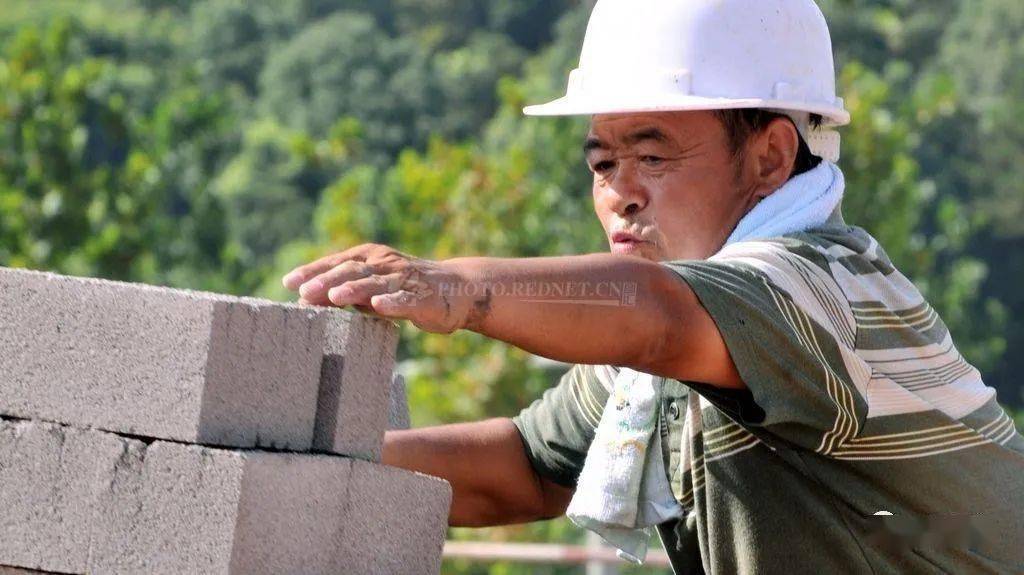 五一良辰,因你而灿烂_劳动_岁月_花海