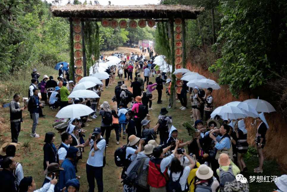 在雲南一百多萬哈尼族大家庭中,奕車是哈尼族的一個支系,分佈於紅河縣