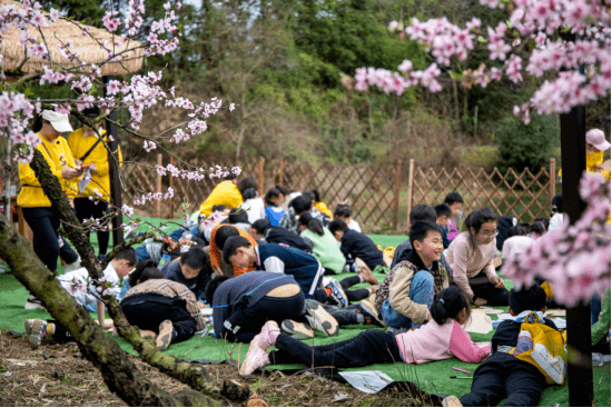丰城市洪州窑碗泥岭,桃花谷景区:探寻陶瓷奥秘 体验乡野乐趣,将千年陶