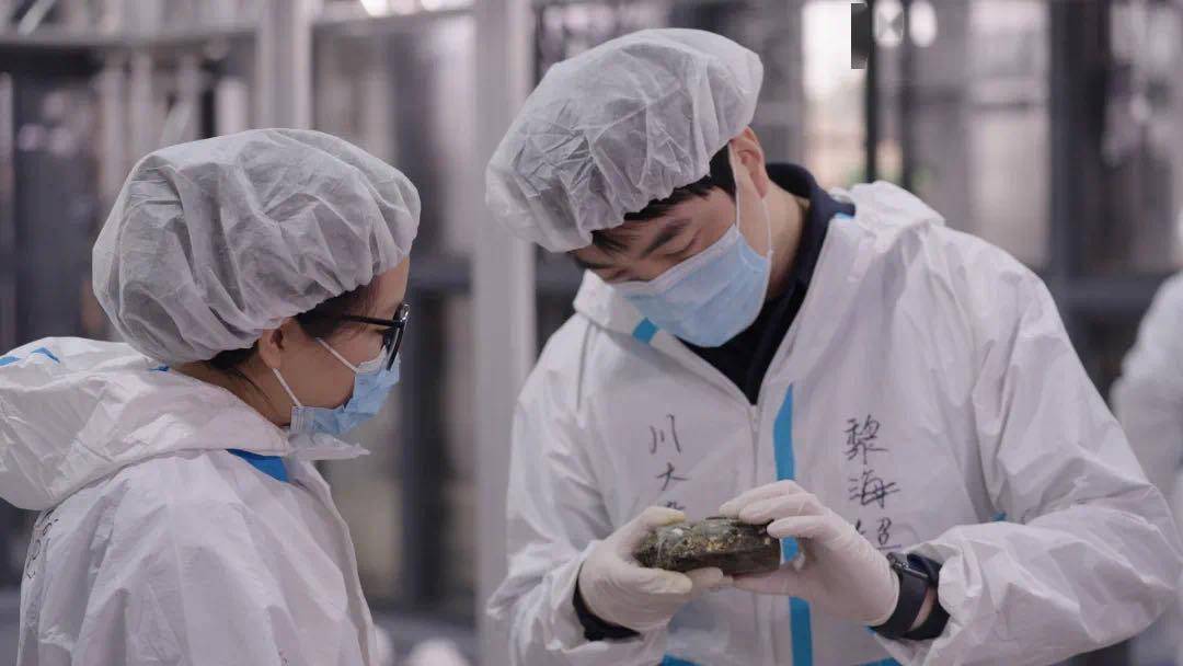 川大三星堆遗址考古队荣获中国青年五四奖章_工作_研究_年轻人