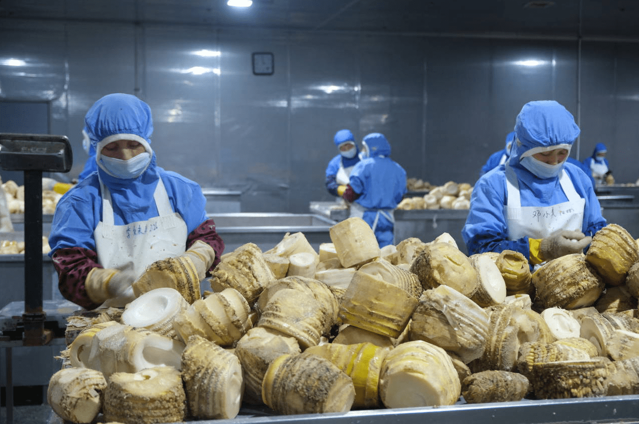 村党总支部书记肖忠是这么回答的:夯实基地建设,科学培育竹林资源