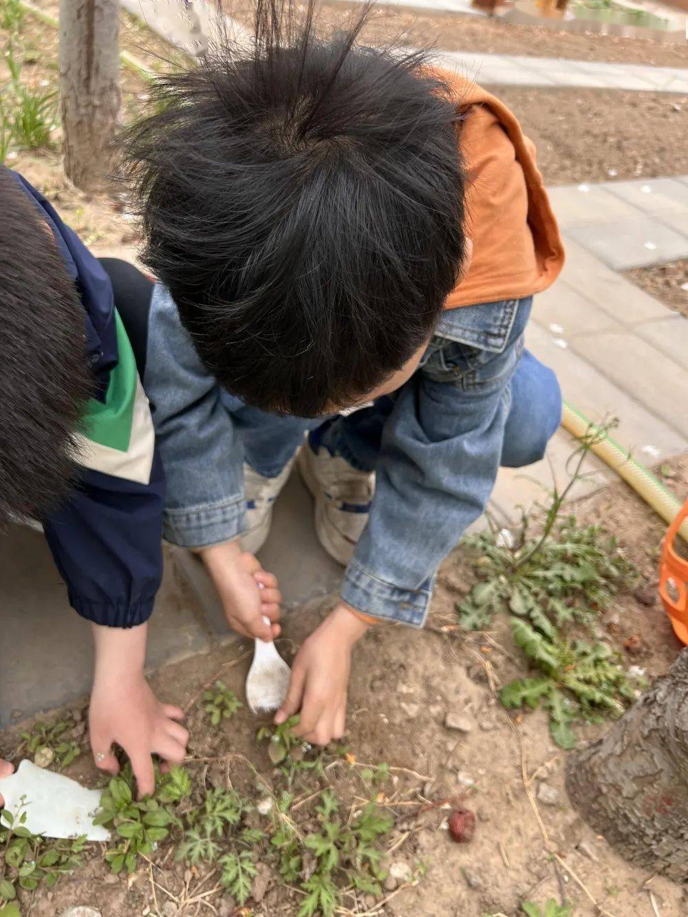 张家湾中心幼儿园 | 【班级动态】中一班:嗨!小草