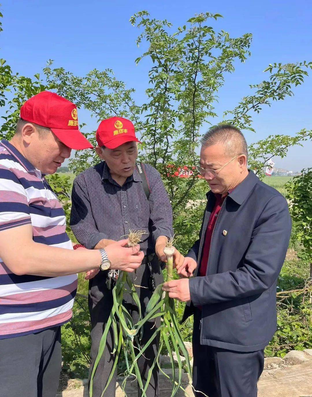 翔龙集团董事长解永军,党委书记邵明升亲临参加,特邀临沂市农科院研究