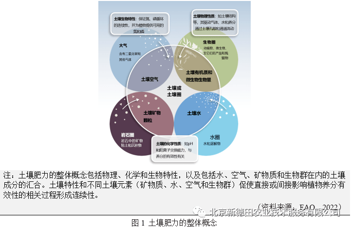 营养的土壤:全球土壤养分预算_生物_过程_元素