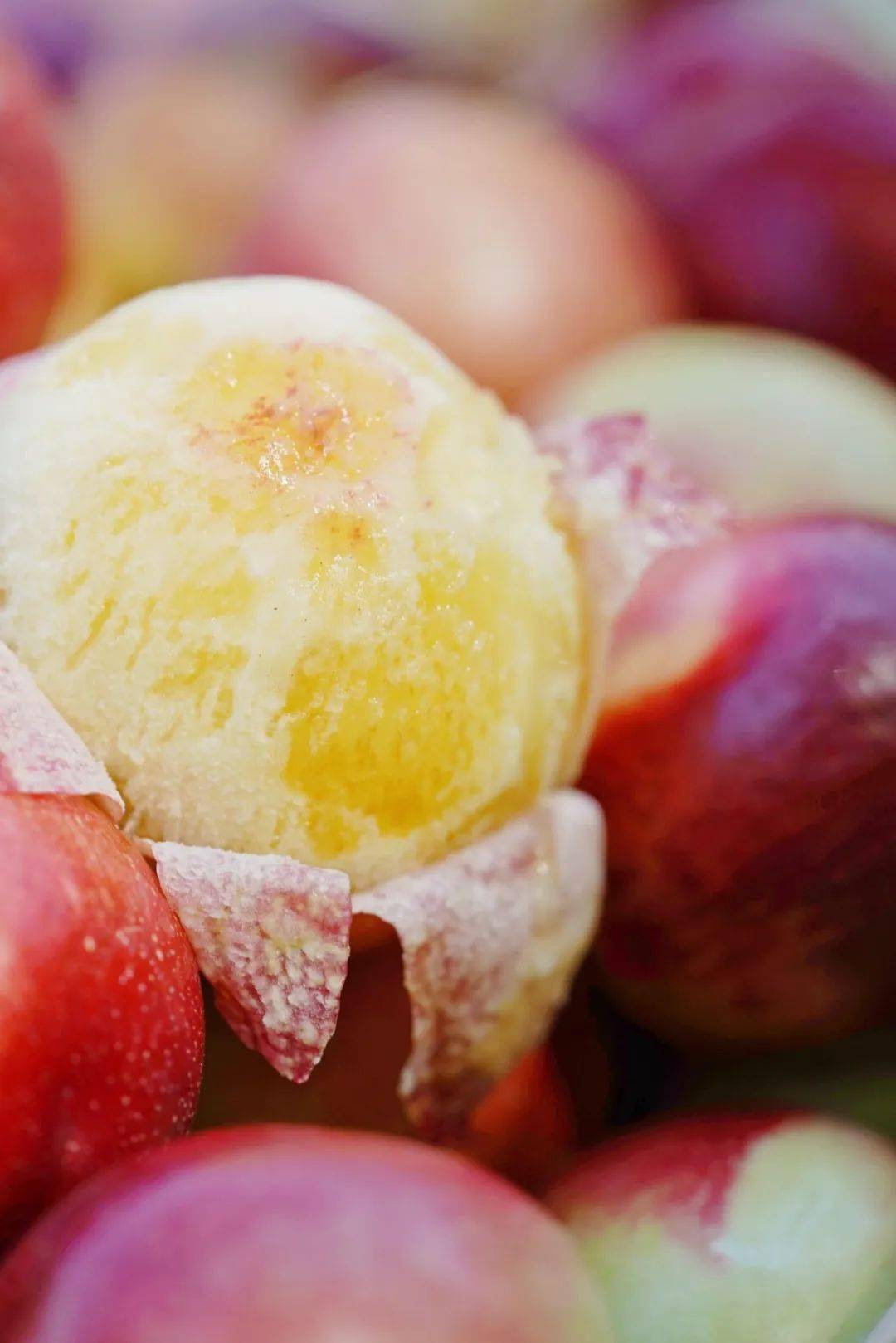 原生态,无公害的水果【攀枝花露天油桃15】香甜,风味绝佳~_多汁