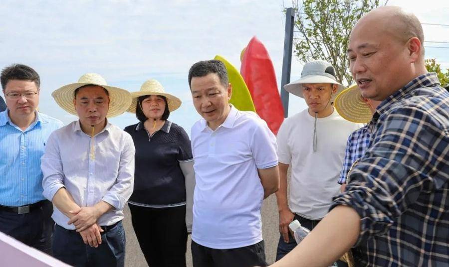 据介绍,环马祖澳滨海旅游度假区核心创建范围涵盖浦口,筱埕,安凯,黄岐