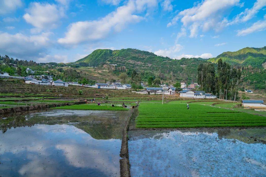 大凉山甘洛彝区春耕春播梯田美如画_摄影_云南_凉山州