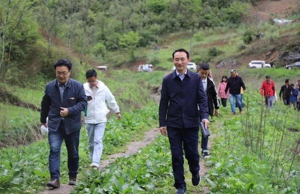 汉中天坑群国际研究院,陕西省林业科学院等承办,通过深入镇巴三元地区